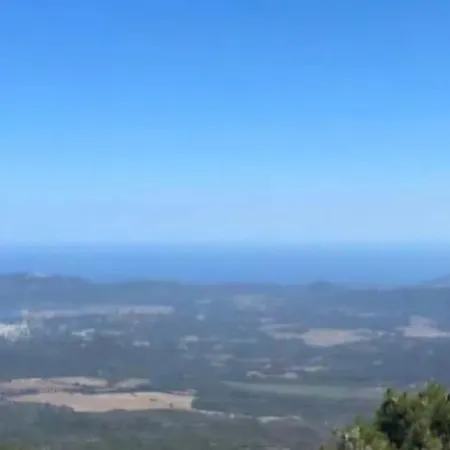 Belvedere Bed & Breakfast