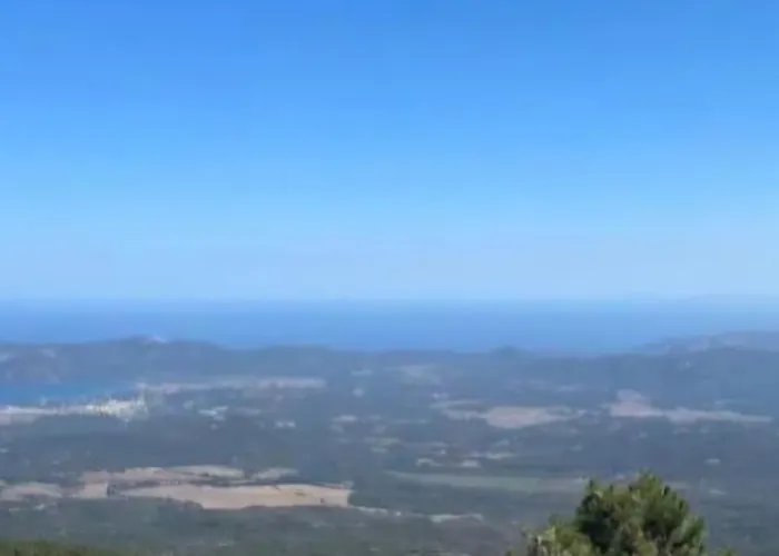 Belvédère Bed & Breakfast